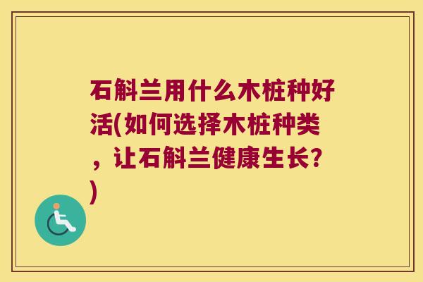 石斛兰用什么木桩种好活(如何选择木桩种类，让石斛兰健康生长？)