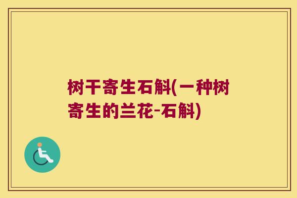 树干寄生石斛(一种树寄生的兰花-石斛)