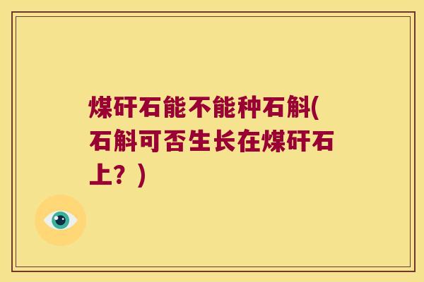 煤矸石能不能种石斛(石斛可否生长在煤矸石上？)