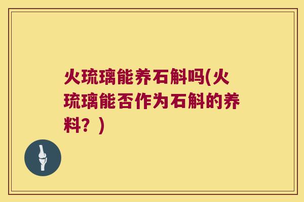 火琉璃能养石斛吗(火琉璃能否作为石斛的养料？)