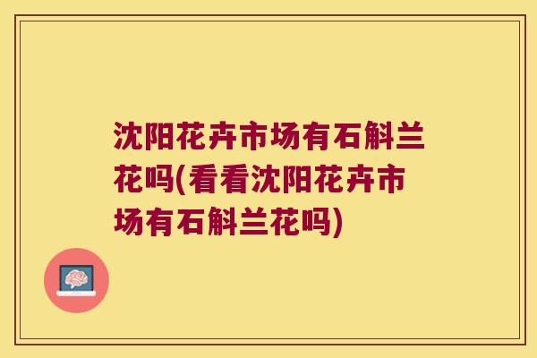 沈阳花卉市场有石斛兰花吗(看看沈阳花卉市场有石斛兰花吗)