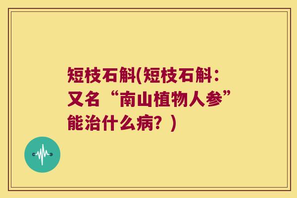 短枝石斛(短枝石斛：又名“南山植物人参”能什么？)