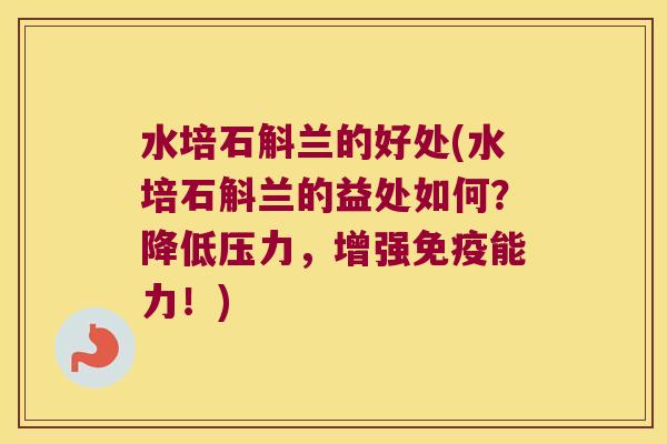 水培石斛兰的好处(水培石斛兰的益处如何？降低压力，增强免疫能力！)