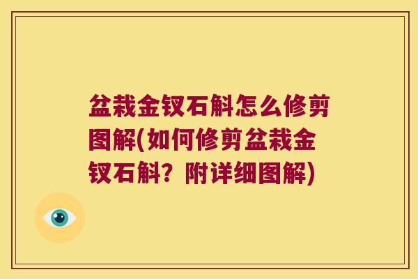 盆栽金钗石斛怎么修剪图解(如何修剪盆栽金钗石斛？附详细图解)