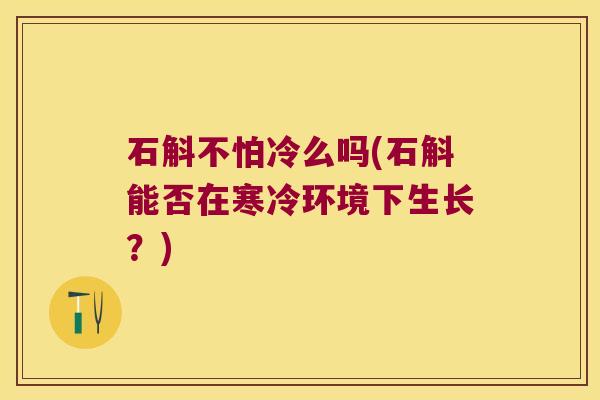 石斛不怕冷么吗(石斛能否在寒冷环境下生长？)