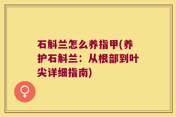 石斛兰怎么养指甲(养护石斛兰：从根部到叶尖详细指南)