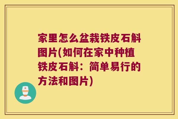 家里怎么盆栽铁皮石斛图片(如何在家中种植铁皮石斛：简单易行的方法和图片)