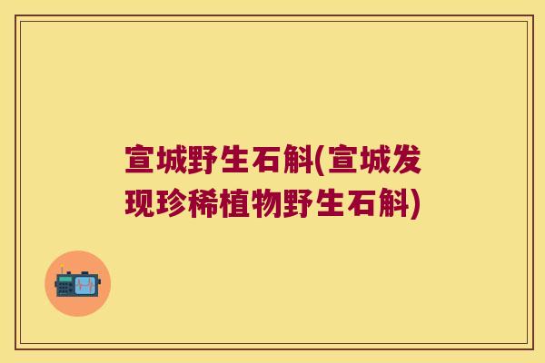 宣城野生石斛(宣城发现珍稀植物野生石斛)