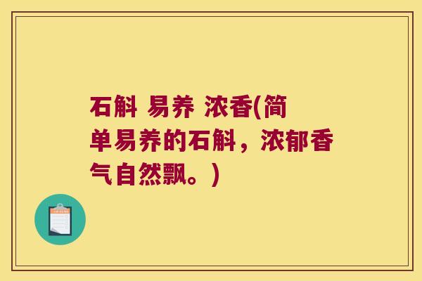 石斛 易养 浓香(简单易养的石斛，浓郁香气自然飘。)