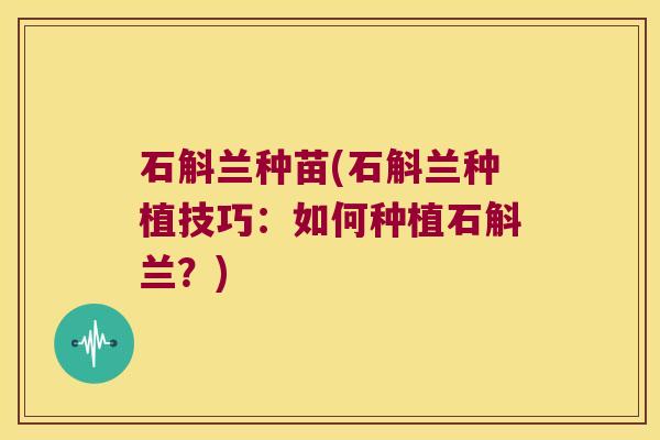 石斛兰种苗(石斛兰种植技巧：如何种植石斛兰？)