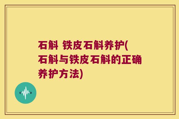 石斛 铁皮石斛养护(石斛与铁皮石斛的正确养护方法)