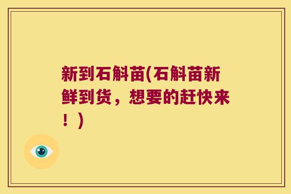 新到石斛苗(石斛苗新鲜到货，想要的赶快来！)