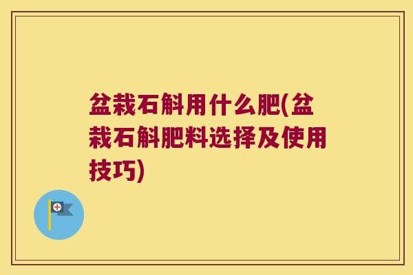 盆栽石斛用什么肥(盆栽石斛肥料选择及使用技巧)