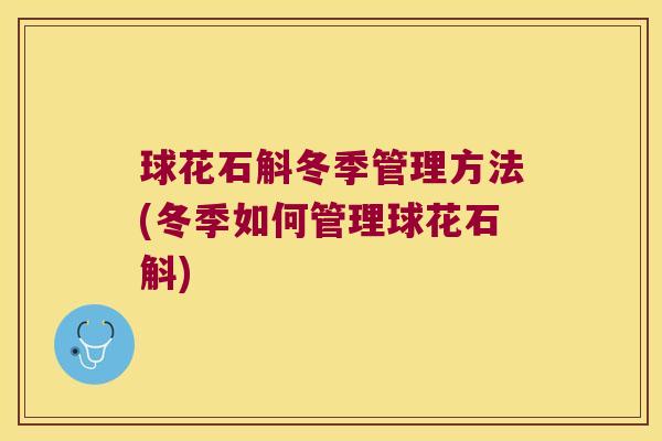 球花石斛冬季管理方法(冬季如何管理球花石斛)