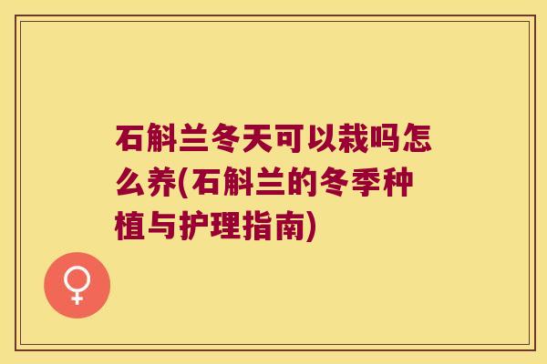 石斛兰冬天可以栽吗怎么养(石斛兰的冬季种植与护理指南)