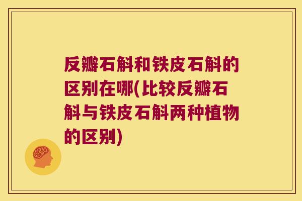 反瓣石斛和铁皮石斛的区别在哪(比较反瓣石斛与铁皮石斛两种植物的区别)