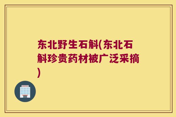 东北野生石斛(东北石斛珍贵药材被广泛采摘)