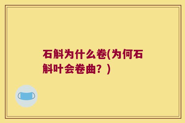 石斛为什么卷(为何石斛叶会卷曲？)