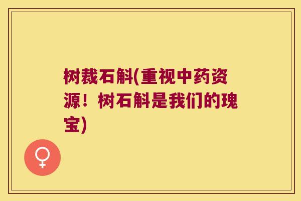 树裁石斛(重视资源！树石斛是我们的瑰宝)