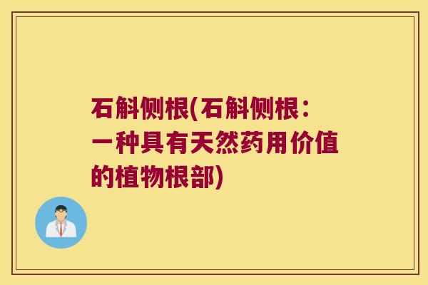 石斛侧根(石斛侧根：一种具有天然药用价值的植物根部)