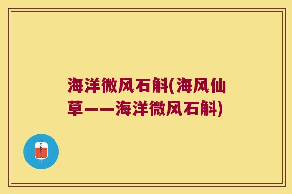 海洋微风石斛(海风仙草——海洋微风石斛)