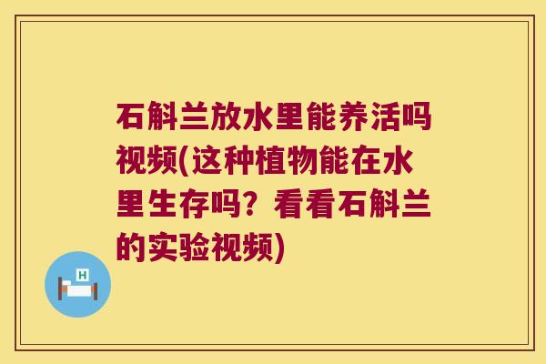 石斛兰放水里能养活吗视频(这种植物能在水里生存吗？看看石斛兰的实验视频)