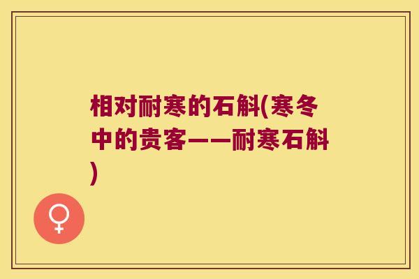 相对耐寒的石斛(寒冬中的贵客——耐寒石斛)