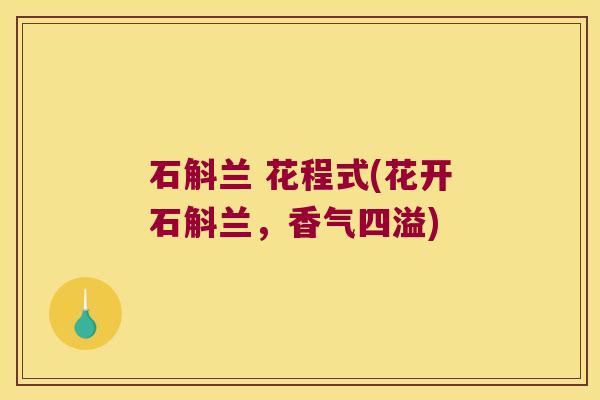 石斛兰 花程式(花开石斛兰，香气四溢)