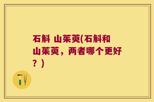 石斛 山茱萸(石斛和山茱萸，两者哪个更好？)
