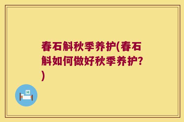 春石斛秋季养护(春石斛如何做好秋季养护？)