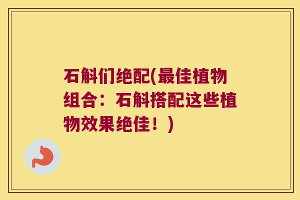 石斛们绝配(佳植物组合：石斛搭配这些植物效果绝佳！)