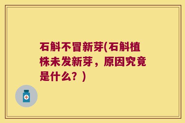 石斛不冒新芽(石斛植株未发新芽，原因究竟是什么？)