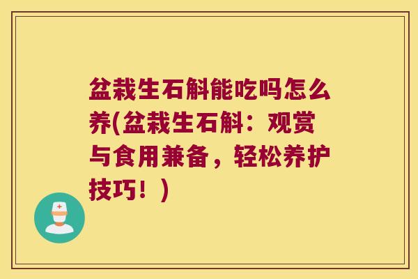 盆栽生石斛能吃吗怎么养(盆栽生石斛：观赏与食用兼备，轻松养护技巧！)