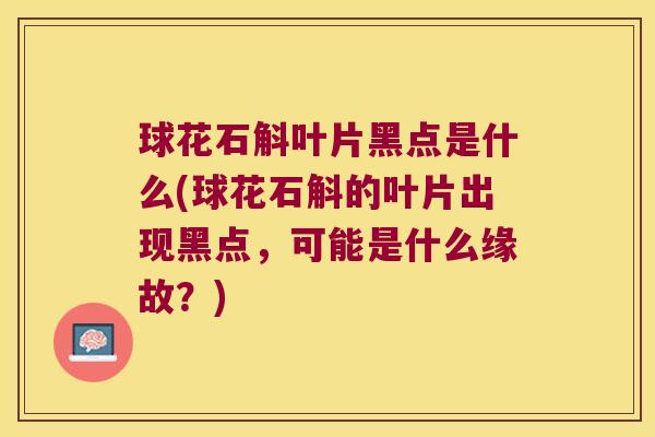 球花石斛叶片黑点是什么(球花石斛的叶片出现黑点，可能是什么缘故？)