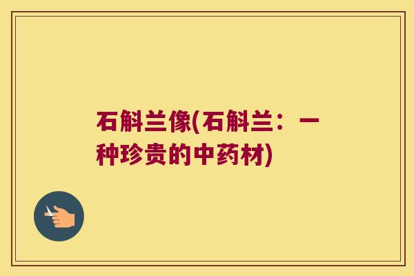 石斛兰像(石斛兰：一种珍贵的中药材)