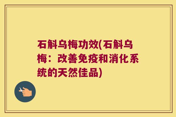 石斛乌梅功效(石斛乌梅：改善免疫和消化系统的天然佳品)