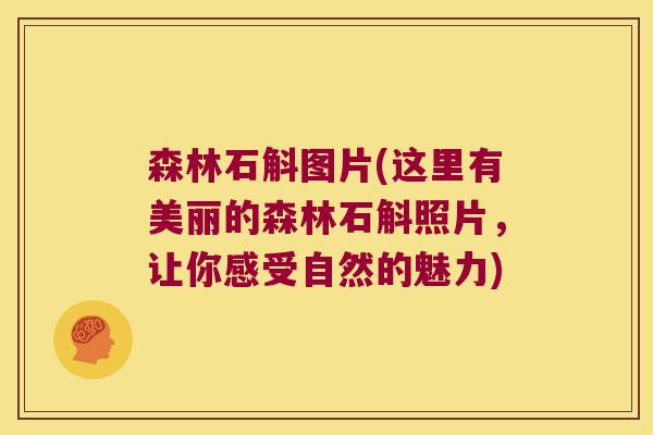 森林石斛图片(这里有美丽的森林石斛照片，让你感受自然的魅力)