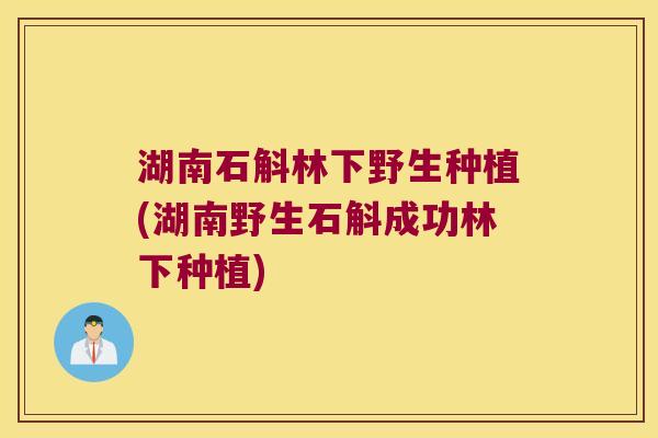 湖南石斛林下野生种植(湖南野生石斛成功林下种植)