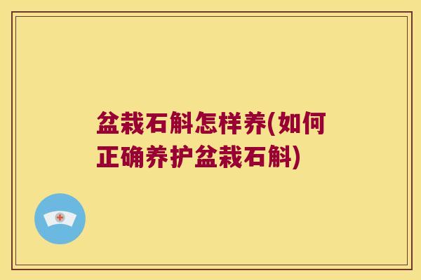 盆栽石斛怎样养(如何正确养护盆栽石斛)