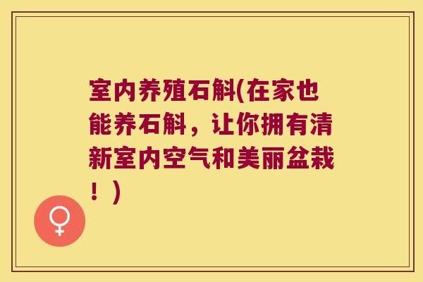 室内养殖石斛(在家也能养石斛,让你拥有清新室内空气和美丽盆栽!) 室内养殖石斛(在家也能养石斛,让你拥有清新室内空气和美丽盆栽!)