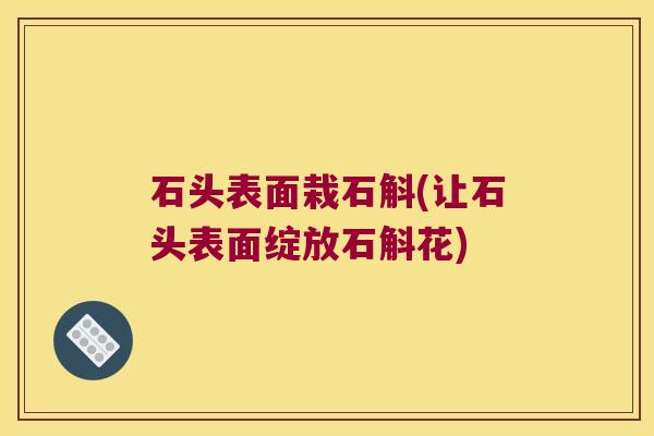 石头表面栽石斛(让石头表面绽放石斛花)