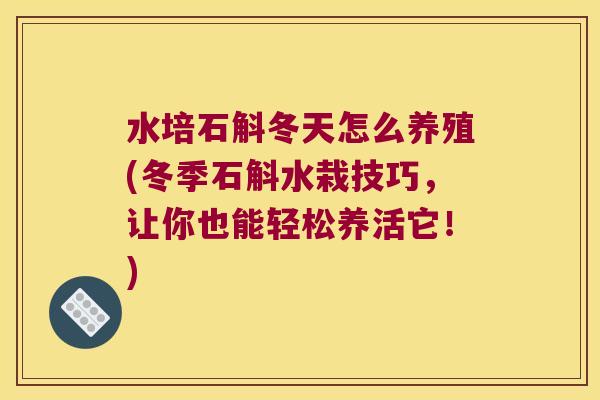 水培石斛冬天怎么养殖(冬季石斛水栽技巧，让你也能轻松养活它！)