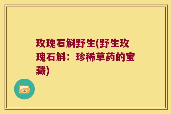 玫瑰石斛野生(野生玫瑰石斛：珍稀草药的宝藏)