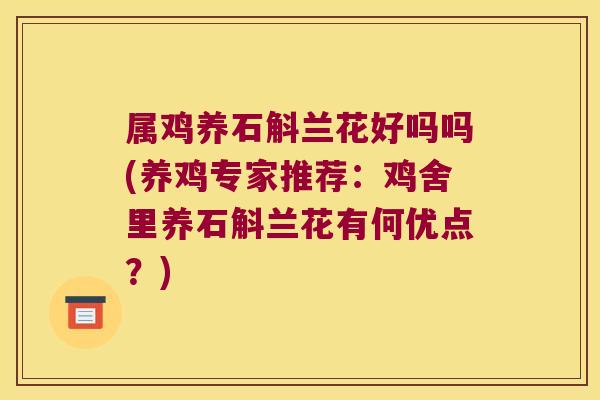 属鸡养石斛兰花好吗吗(养鸡专家推荐：鸡舍里养石斛兰花有何优点？)