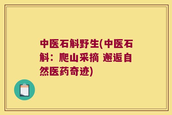 中医石斛野生(中医石斛：爬山采摘 邂逅自然医药奇迹)