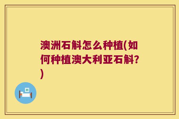 澳洲石斛怎么种植(如何种植澳大利亚石斛?) 澳洲石斛怎么种植(如何种植澳大利亚石斛?)