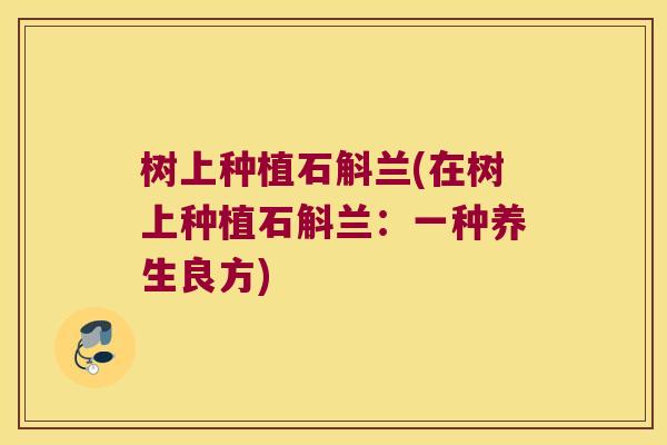 树上种植石斛兰(在树上种植石斛兰：一种养生良方)