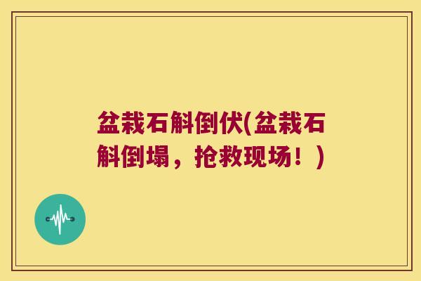 盆栽石斛倒伏(盆栽石斛倒塌，抢救现场！)