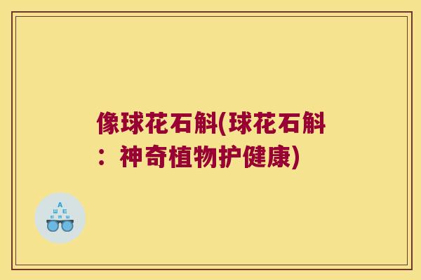 像球花石斛(球花石斛:神奇植物护健康) 像球花石斛(球花石斛:神奇植物护健康)