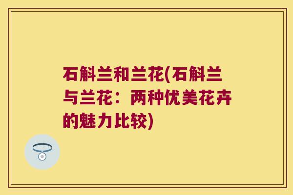 石斛兰和兰花(石斛兰与兰花：两种优美花卉的魅力比较)